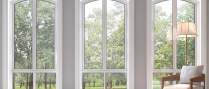 Gothic Windows, MI Windows and Doors