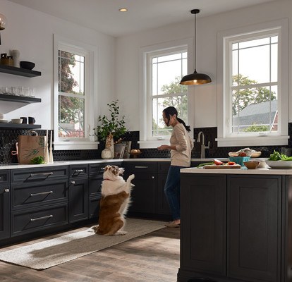 MI Windows renovation